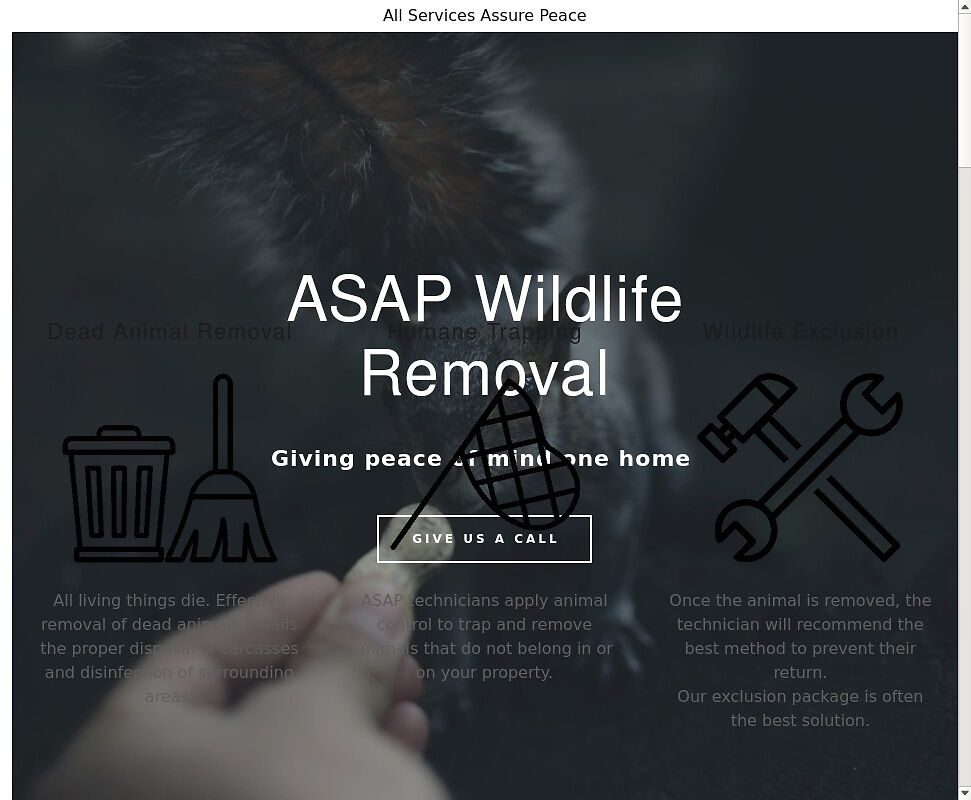 Atlanta Wildlife Control